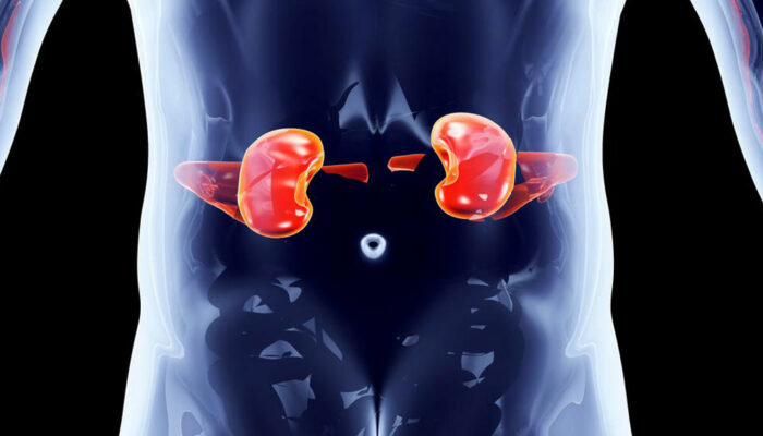 Effective measures to prevent kidney disorders