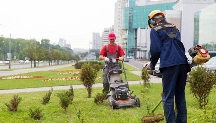 Electric or gas trimmers &#8211; Which is the best buy