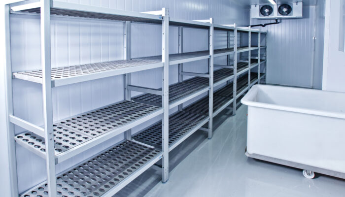 Evolution of Food Storage from Ice Men to Freezers