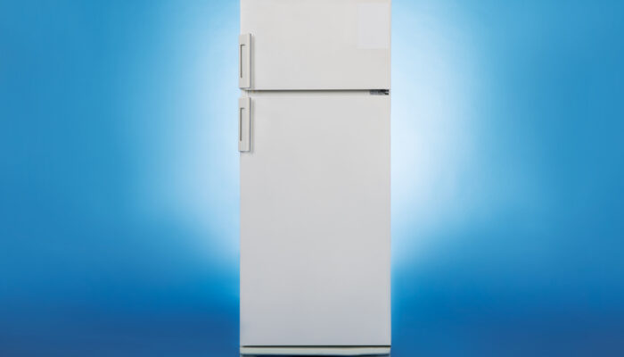 Everything You Need to Know about LG Refrigerators