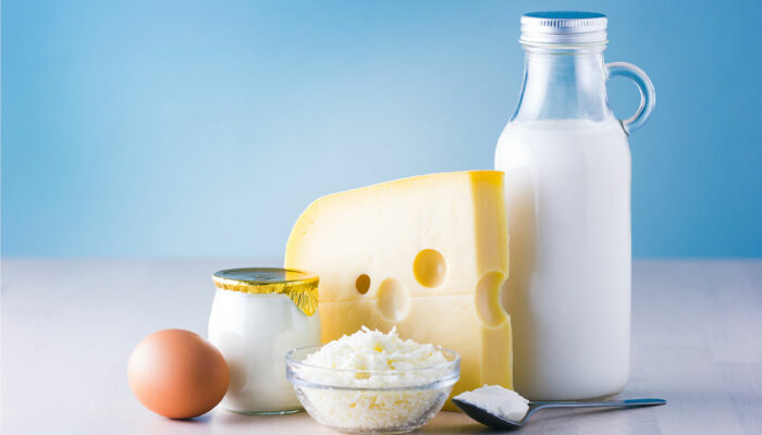 Everything to know about dairy products and eggs