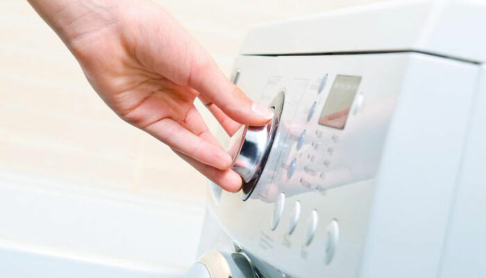 Everything you need to know about freeze dryers