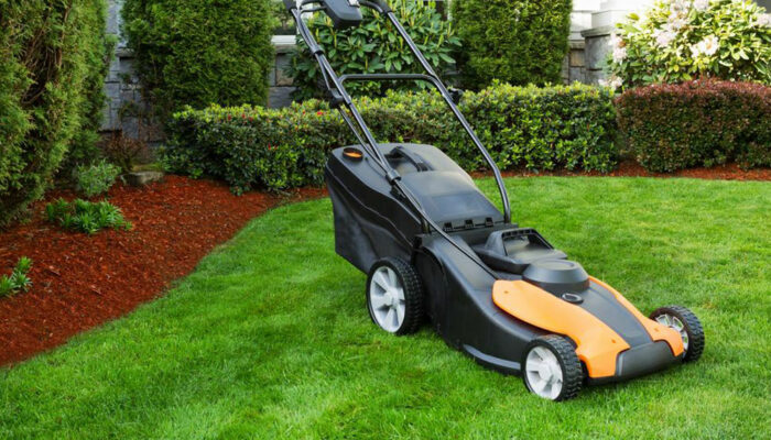 Everything you need to know about lawn care services