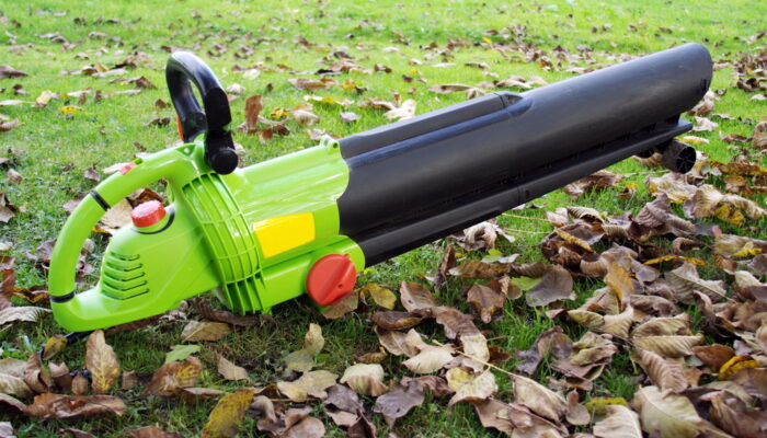 Factors to Consider before Buying Gas Leaf Blowers