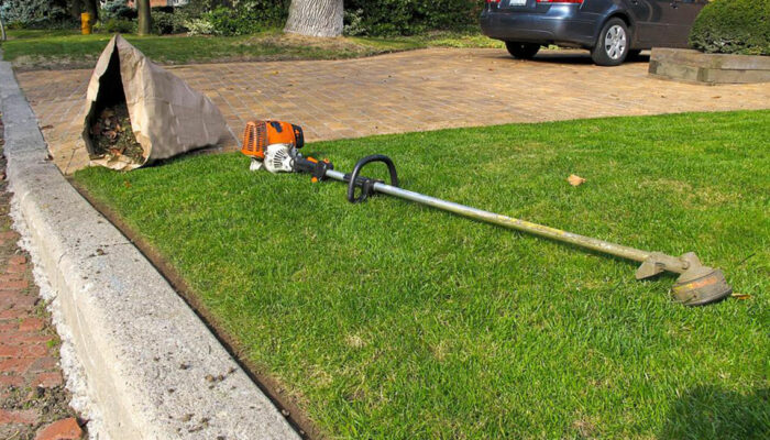 Factors to consider before buying a weed trimmer