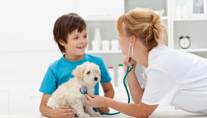 Factors that can affect the cost of pet care