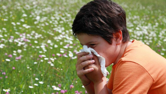 Five food items to fight pollen allergy