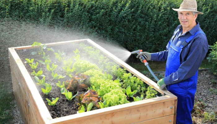 Four smart tips that every newbie gardener should know