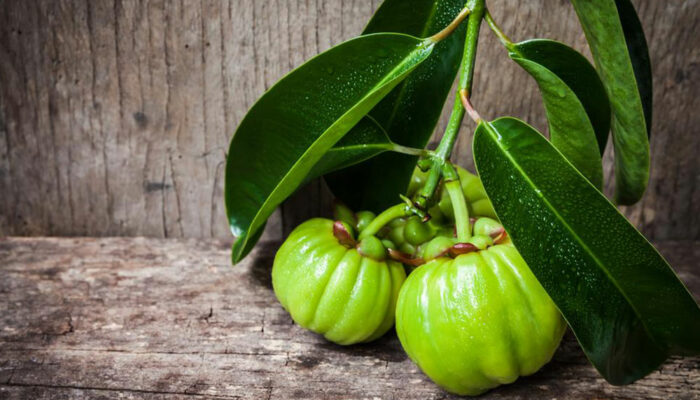 Garcinia cambogia &#8211; Know what you consume