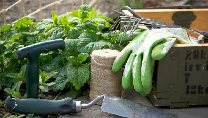 Garden Tools for Gorgeous Outdoors