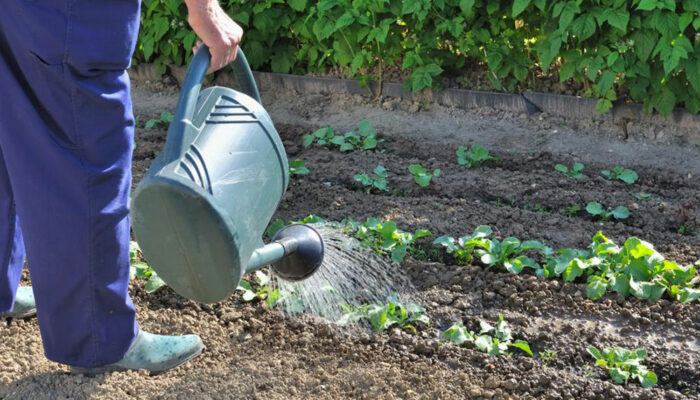 Gardening made easy!