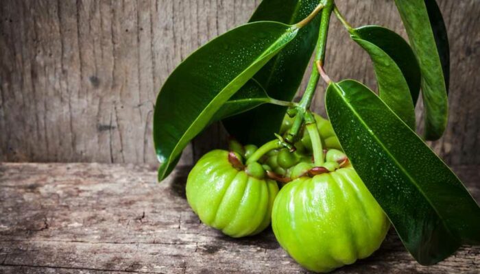 Getting a Closer Look at the Garcinia Cambogia Side Effects