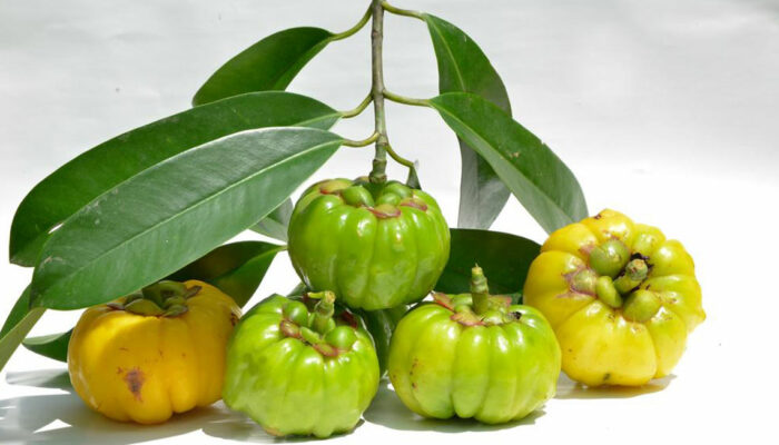 Getting an insight on Garcinia Cambogia