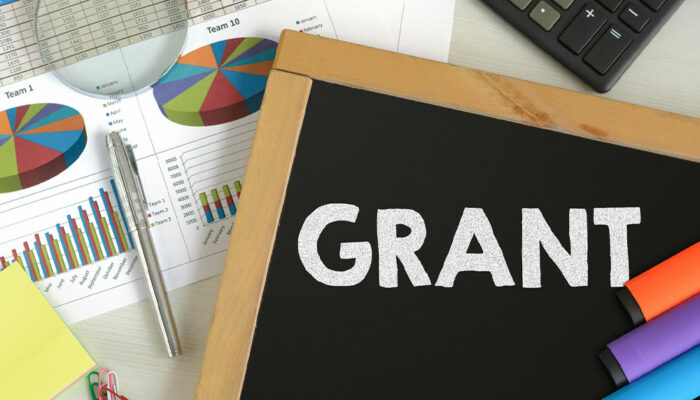 Government grants &#8211; What are they and who is eligible