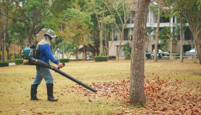 Guide for buying the best leaf blower