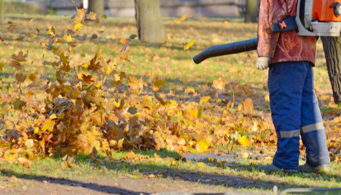 Guidelines To Select The Best Leaf Blower