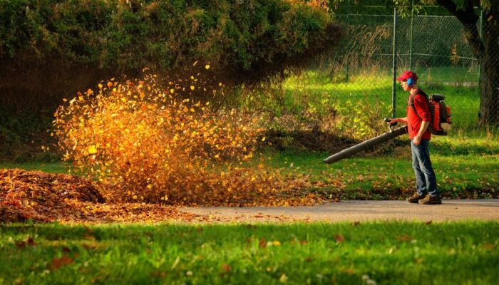 Guide to Choosing the Right Gas Leaf Blower