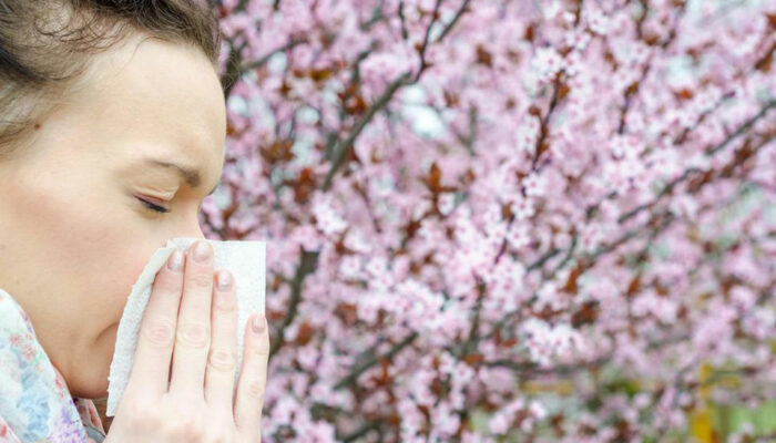 Here are some popular home remedies for Pollen Allergy