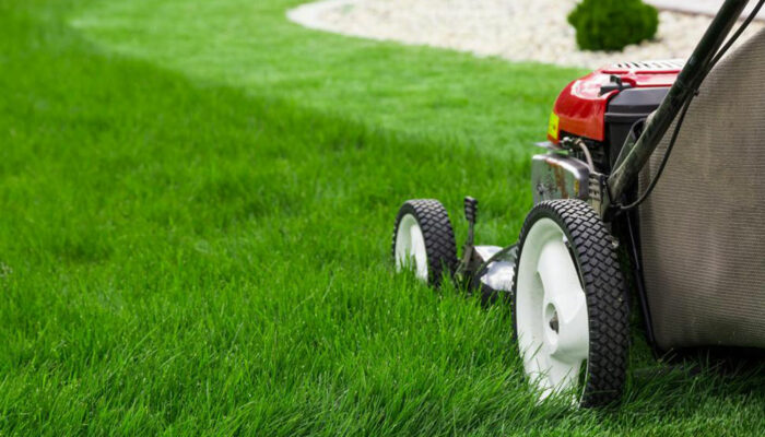 Here&#8217;s how you can choose the best lawn edger