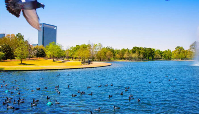 Here&#8217;s what you will find in the Texas waters during summer and spring