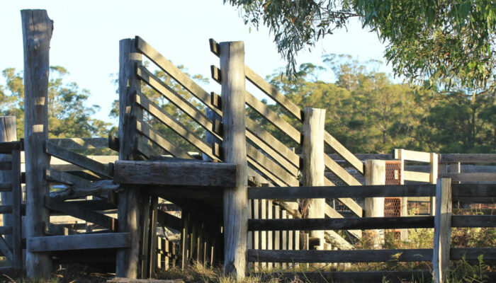 Here&#8217;s what you need to know about yard ramps