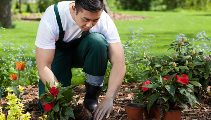 Here&#8217;s what you need to know if you plan to grow flowers in your garden