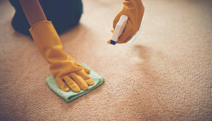 Here&#8217;s why and how to choose the best carpet stain removers