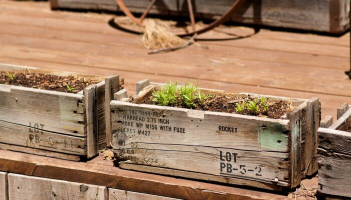 How to Build a Wooden Planter Box