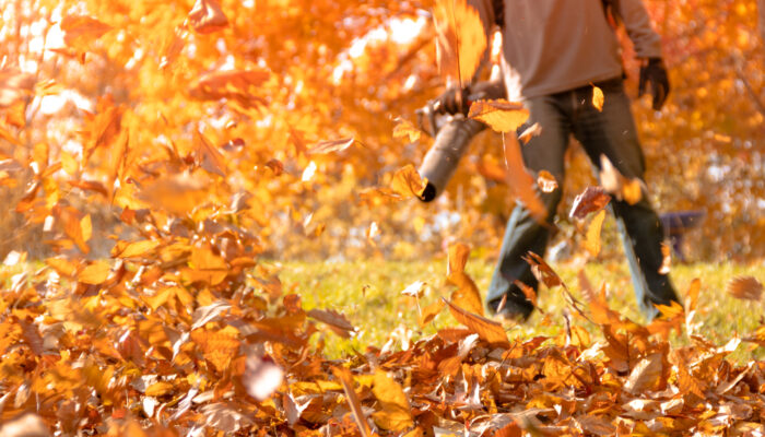 How to Choose the Best Leaf Blower