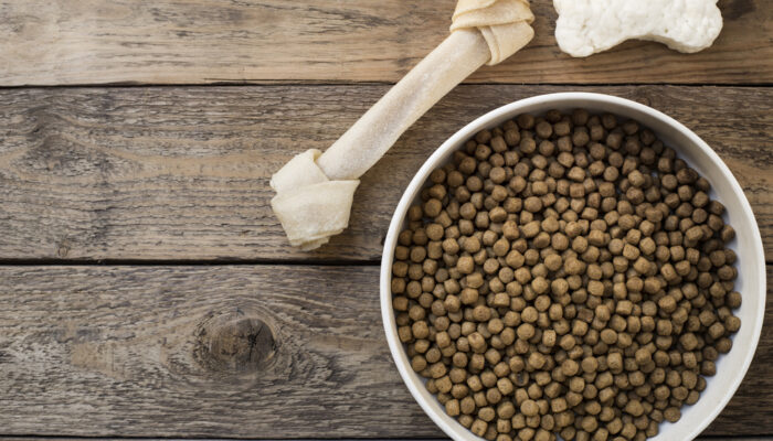 How to Pick the Right Dog Food for a Sensitive Stomach