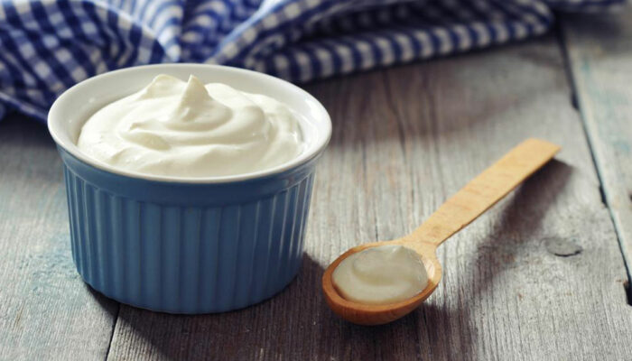 How to make probiotic yogurts with cheese and mayo?