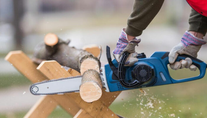 How to choose a chainsaw for your garden