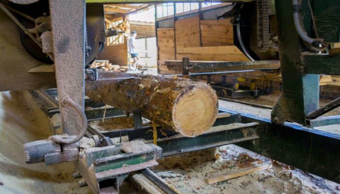 How to choose a portable sawmill?