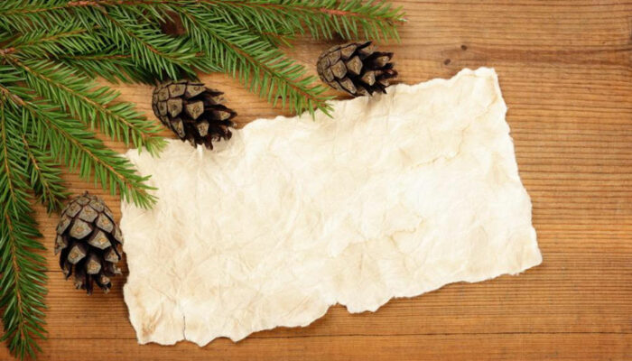 How to choose the right Christmas tree skirt