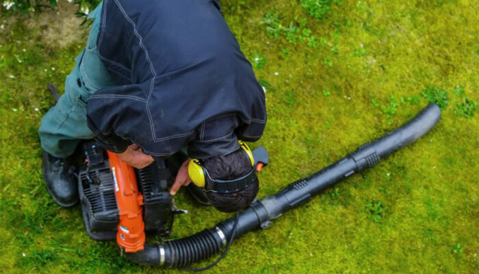 How to choose the right leaf blower for your garden