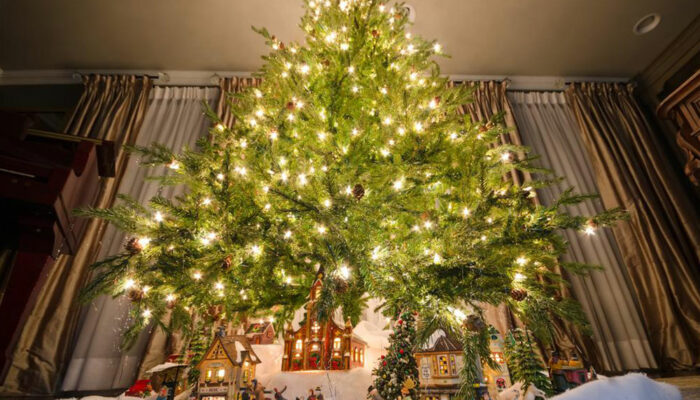 How to choose the right sized Christmas tree for your home