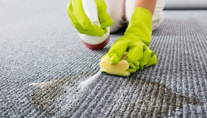 How to remove coffee stains, pet mess, and ink stains from your carpet