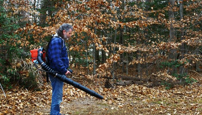 How to spot the best leaf blowers?