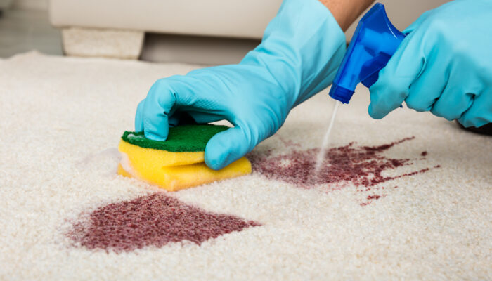 How Do You Choose The Best Carpet Stain Removers