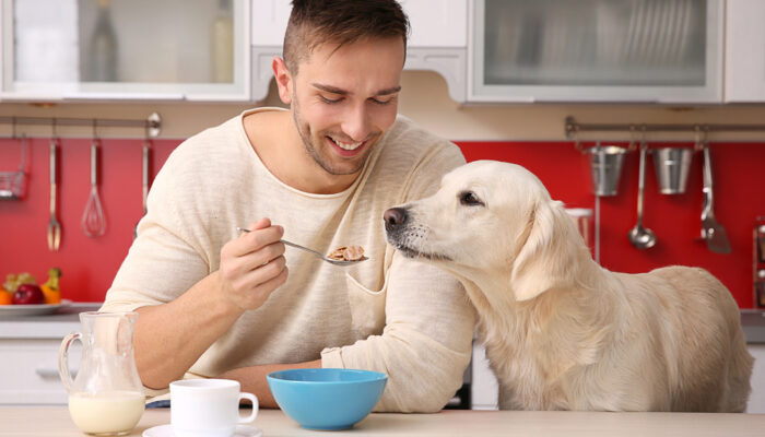 How To Choose The Best Dog Food For Your Furry Friend