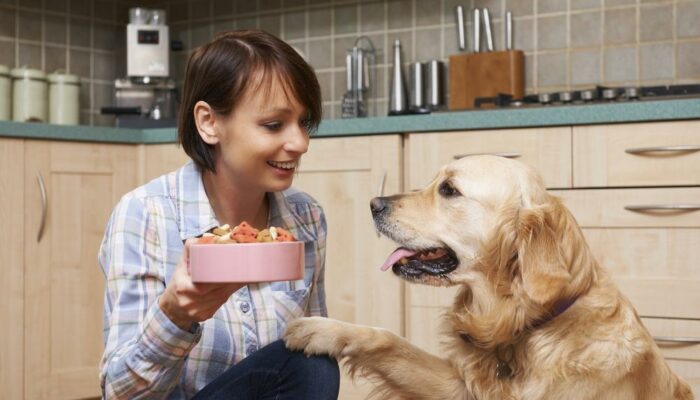 How To Treat Food Allergy Problems Of Dogs