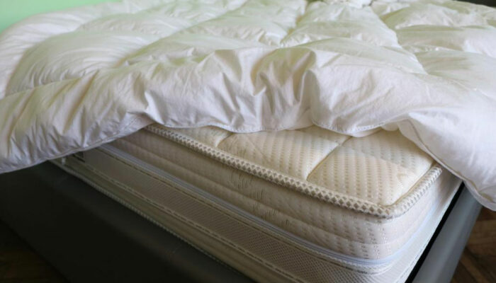 How online mattress companies are growing popular