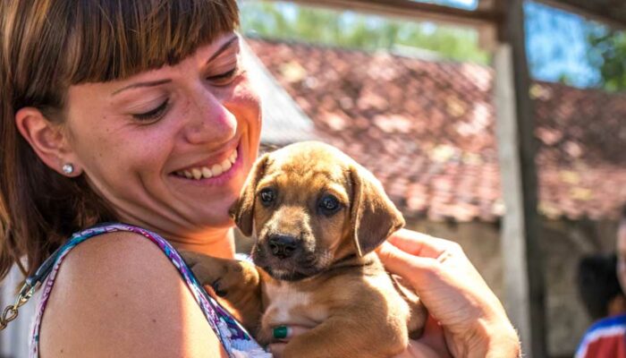 Important Factors to Consider Before Adopting Puppies