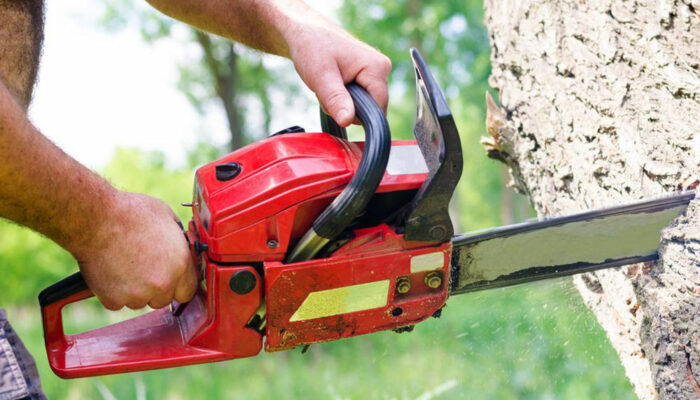 Introduction to chainsaws and STIHL chainsaws