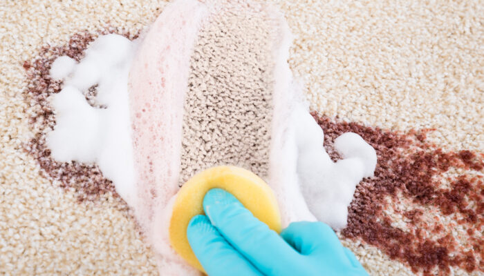 Know about the Benefits of Carpet Stain Removers