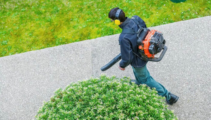 Know more about Stihl leaf blowers