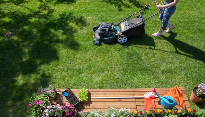 Lawnmowers Worth Buying During Sales