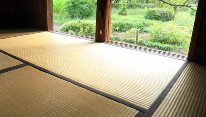 Learn about various floor mat options available for your home