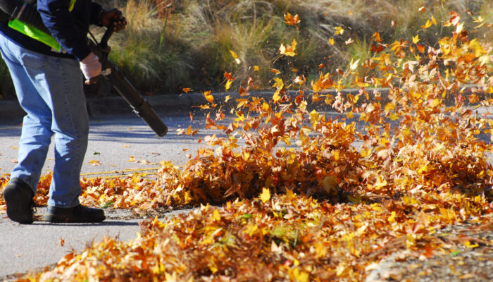 List Of The Best Leaf Blowers In The Market