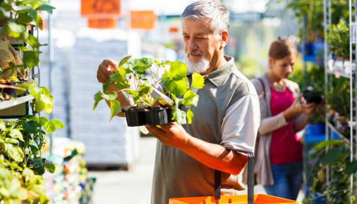 Love gardening? Here&#8217;s how you can start a garden in your backyard